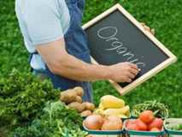 Экологически чистые продукты и их способность возвращать здоровье Почему необходимо питаться здоровой пищей